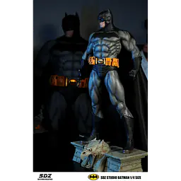 SDZ - Batman 4