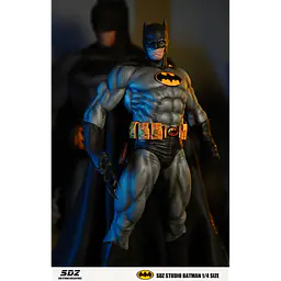 SDZ - Batman 2