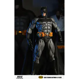 SDZ - Batman 5