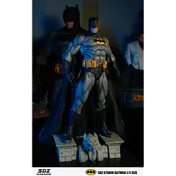 SDZ - Batman 1
