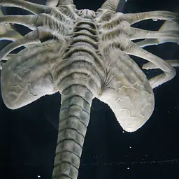 Deep Tale - Facehugger Stasis Chamber 2