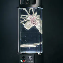 Deep Tale - Facehugger Stasis Chamber 3