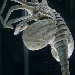 Deep Tale - Facehugger Stasis Chamber 9