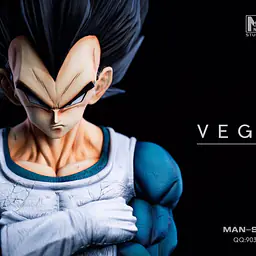 MAN - Vegeta 8