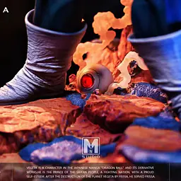 MAN - Vegeta 9