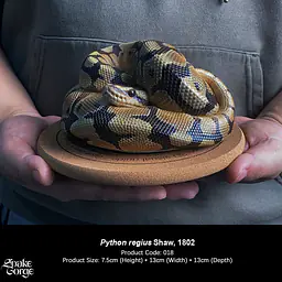 Snake Gorge - Ball python 1