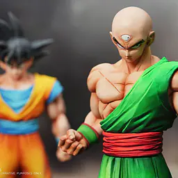 Ki - Goku and Tien 3