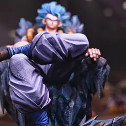 DW - Vegito and Gogeta 6