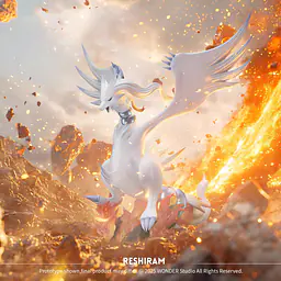 Wonder - Zekrom and Reshiram 3