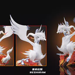Wonder - Zekrom and Reshiram 5