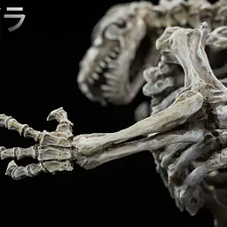 Hard Shell - Godzilla 8