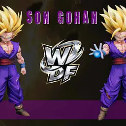 WDF - SSJ Gohan 5
