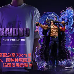 C2 - Kaido 7