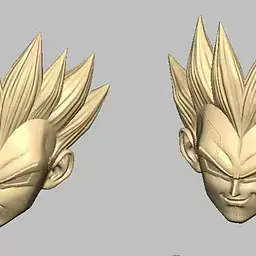Li Zi - Vegeta 6