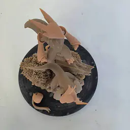 Slash x BN - Guilmon, Terriermon and Youkomon 5