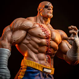 Sideshow Collectibles - Sagat and Juli 2
