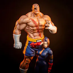 Sideshow Collectibles - Sagat and Juli 7