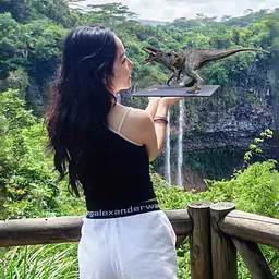 Dino Dream - Indominus Rex 11