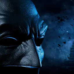 Pure Arts - Batman Cowl 13