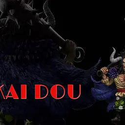A+ - Kaido 2
