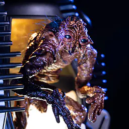 Sideshow Collectibles - The Fly 25