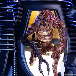 Sideshow Collectibles - The Fly 19
