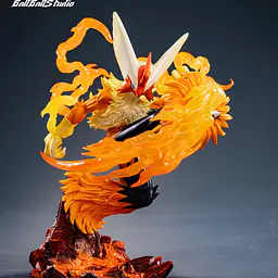 Ball Ball - Blaziken 5