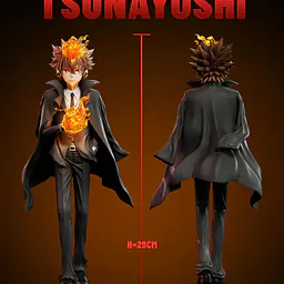 Ring - Tsunayoshi Sawada 4