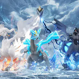 Wonder - Kyurem 3