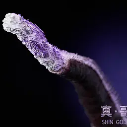 Hard Shell - Atomic Breath Godzilla 6