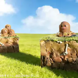 JC - Diglett and Dugtrio 5