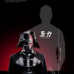 Force - Darth Vader 6