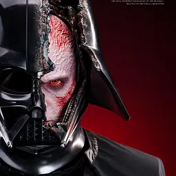 Force - Darth Vader 4