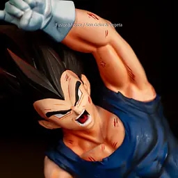 Fusion Force - Goku and Vegeta 3