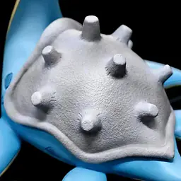 Sugar Cube - Lapras 5