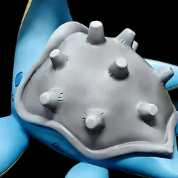 Sugar Cube - Lapras 4
