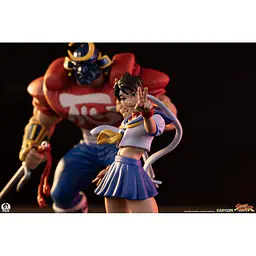 Premium Collectibles - Sakura Kasugano and Sodom 14