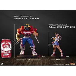 Premium Collectibles - Sakura Kasugano and Sodom 17