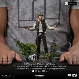 Iron - Han Solo 10
