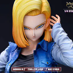 MRC - Android 18 4