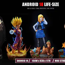 MRC - Android 18 9