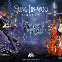 Black Panther - Sung Jinwoo and Cha Hae-In 9