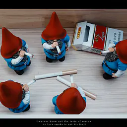 ZN - Burglin' Gnomes 4