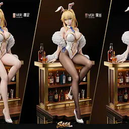SASA - Saber 8