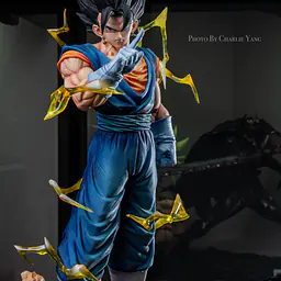 KAW - Vegito 6