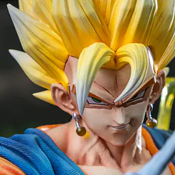 KAW - Vegito 5