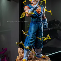 KAW - Vegito 4