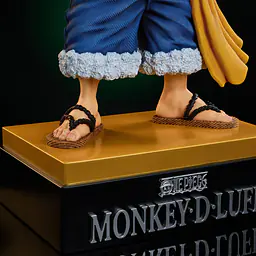 Pets - Luffy 6