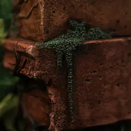Shen Yin - Arrietty 6