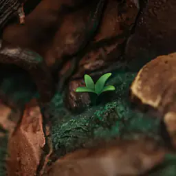 Shen Yin - Arrietty 11